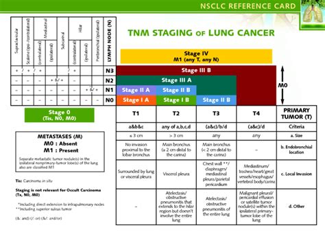 Stages Of Lung Cancer Chart