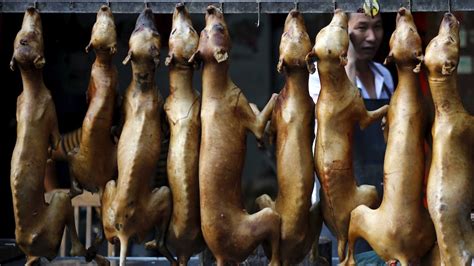 Do Chinese People Really Eat Cat And Dog