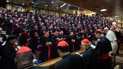 What is a Synod of Bishops? - Vatican News