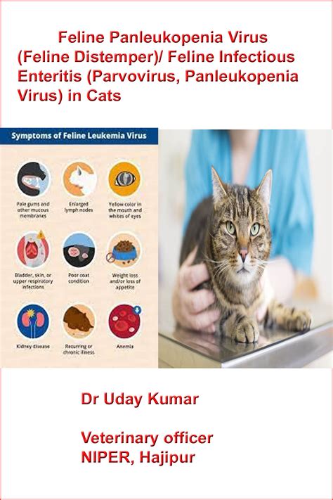 Feline Panleukopenia Virus(Feline Distemper)/ Feline Infect