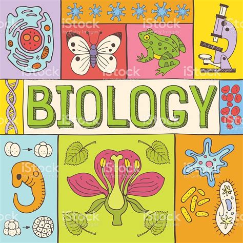 Biology hand drawn colorful vector illustration with doodle icons ...