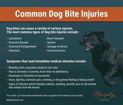 How Serious is My Dog Bite Wound? - Murphy Law Firm