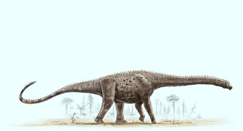 Paleontologists Digitally Reconstruct Giant Dinosaur Argentinosaurus ...