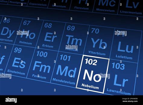 Nobelium on the periodic table. Radioactive transuranic metallic ...