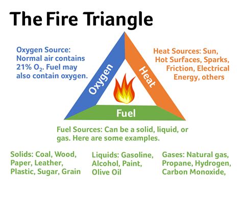 Newsela - The role of wildland fires in an ecosystem | Workplace safety ...