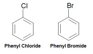 Phenyl Ring