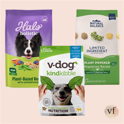 The Best Vegan Dog Food Brands (Reviewed in 2023)