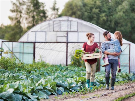 Small Backyard Farm: Learn The Basics Of Starting A Small Farm