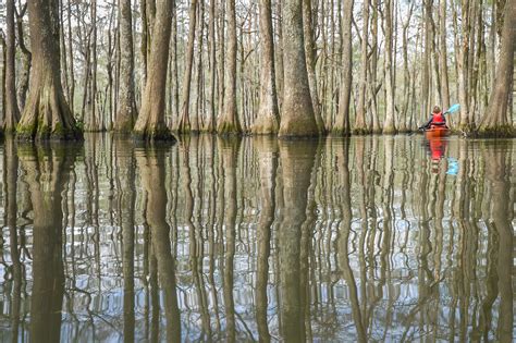 Chicot State Park for paddle and hiking adventure | The Heart of Louisiana