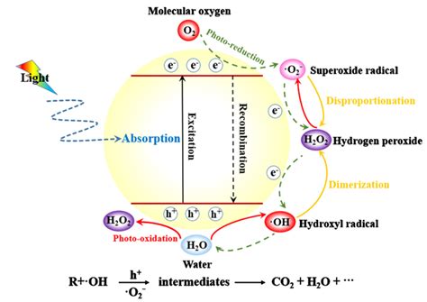 Schematic diagram illustrating the mechanism of photocatalysis ...