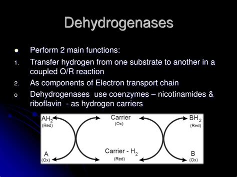 PPT - Biological Oxidation PowerPoint Presentation - ID:225968