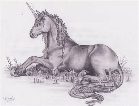 unicorn | Unicorn drawing, Unicorn sketch, Unicorn art