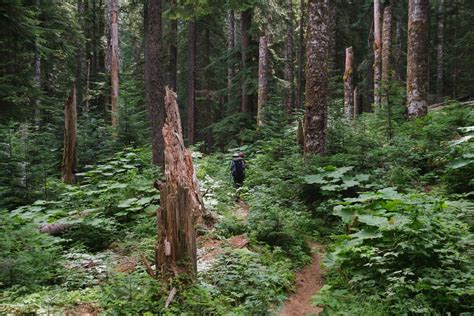 Guide to Thru-Hiking the Wonderland Trail