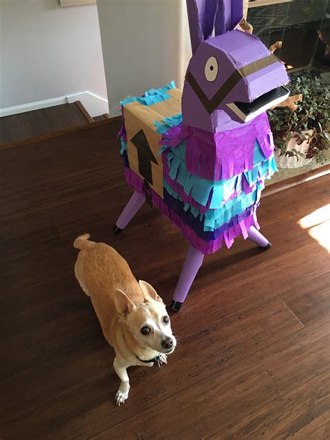 How to Make a Fortnite Llama Pinata - DIWHY.LIFE