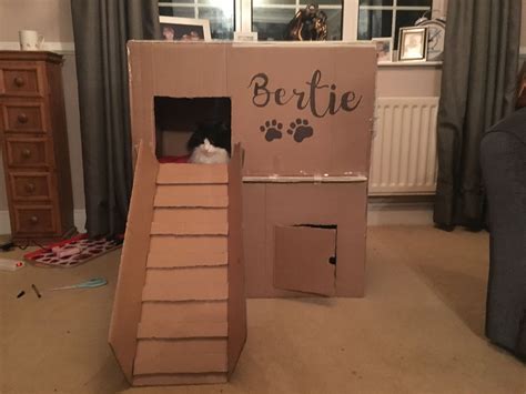 my pet | Cat house diy cardboard, Cat house diy, Diy cat toys