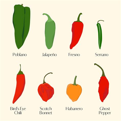 Types Of Chili Peppers Chart