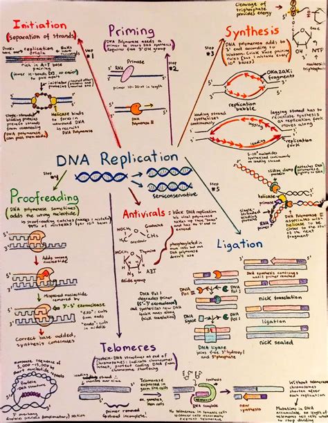 Biochemistry Flow Chart