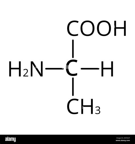 Alanine Amino Acid Structure