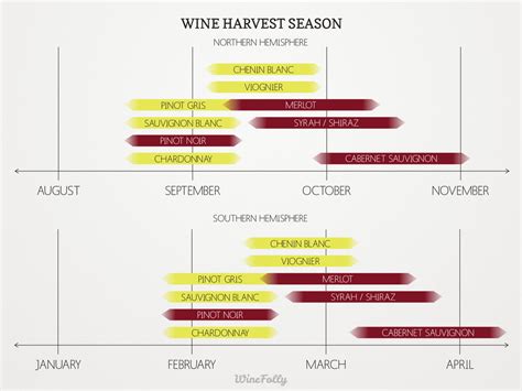 When is Wine Harvest Season? | Wine Folly