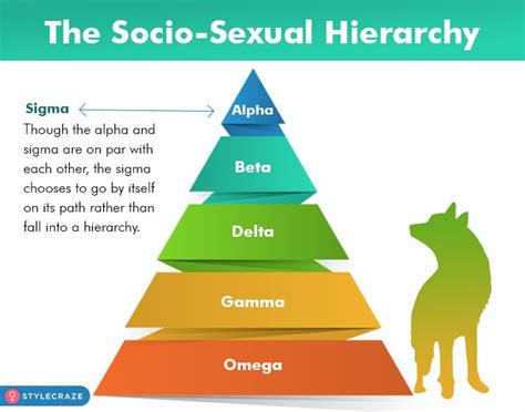 Who Is A Sigma Male Alpha Male Characteristics, Alpha Male Traits ...