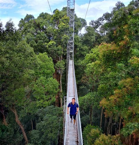 Wanderlust | Journey to Brunei's rainforest