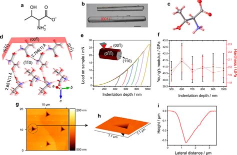 Structure and mechanical properties of L-threonine crystals a Chemical ...