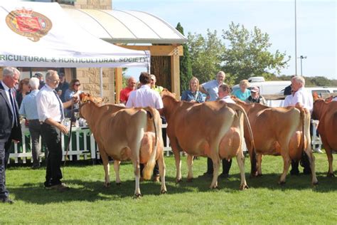 THE AUTUMN CATTLE SHOW - Rural - Jersey Country Life Magazine