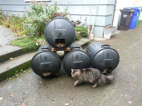 For the ferals | Feral cats, Feral cat shelter, Outdoor cat house