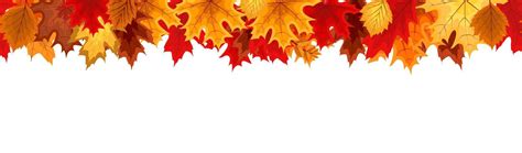 Autumn Seamless Border with Falling Autumn Leaves. Vector Illustration ...