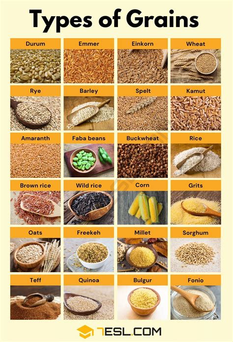 Types of Grains in English • 7ESL | Whole grain foods, Healthy grains ...