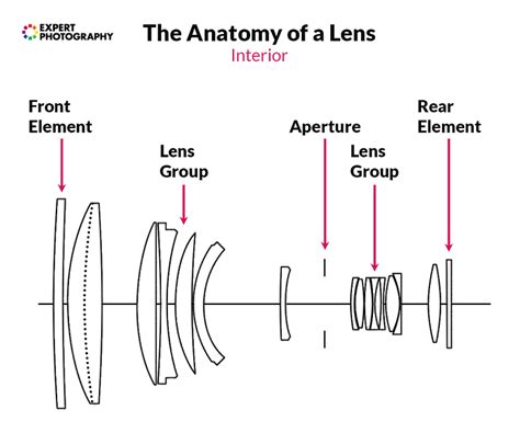 How Does A Camera Lens Work? - Myers Grell1966