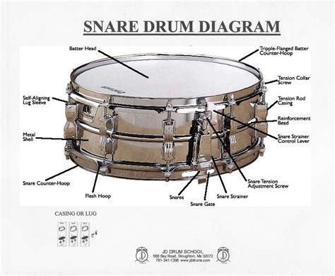 JD Drum School's Drummer Archives - Snare Drum Diagram