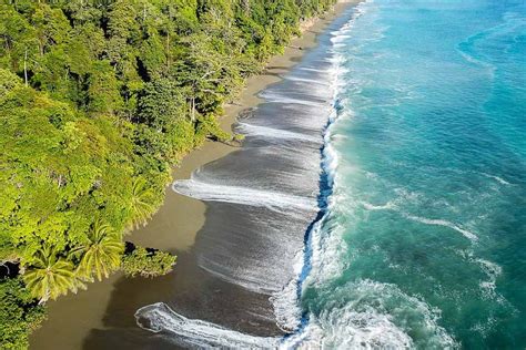 哥斯达黎加的奥萨半岛:大自然爱好者的潮湿和野生乐趣- travelmad慢旅行博客必威betway东盟体育 - 必威棋牌网址