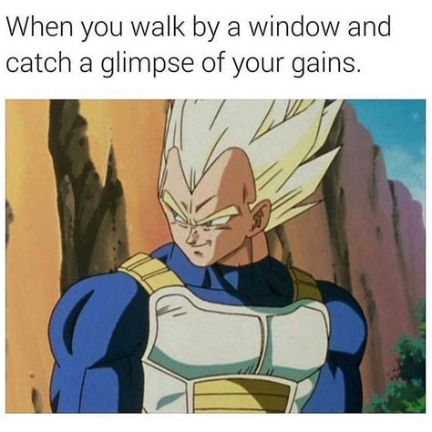 Bodybuilding meme Vegeta meme DBZ memes Gains. Dbz Memes, Funny Memes ...