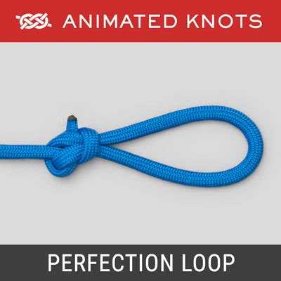 Perfection Loop Knot | How to tie a Perfection Loop Knot using Step-by ...