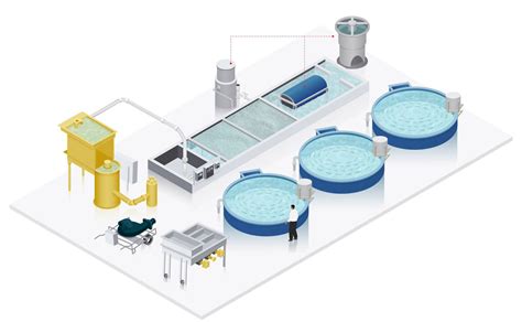 Recirculating Aquaculture System (RAS) Design - Innovasea