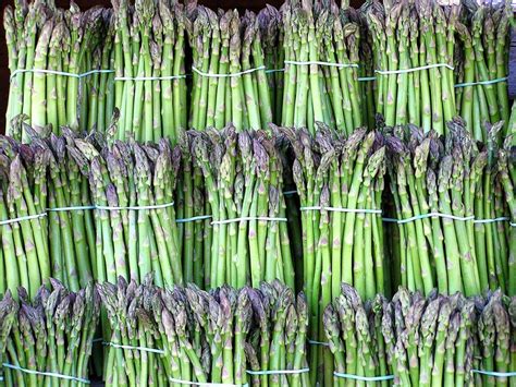 Asparagus & the Vale of Evesham - Worcestershire Archive & Archaeology ...