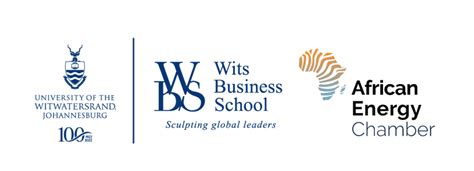 Wits Business School Signs Agreement with the African Energy Chamber to ...