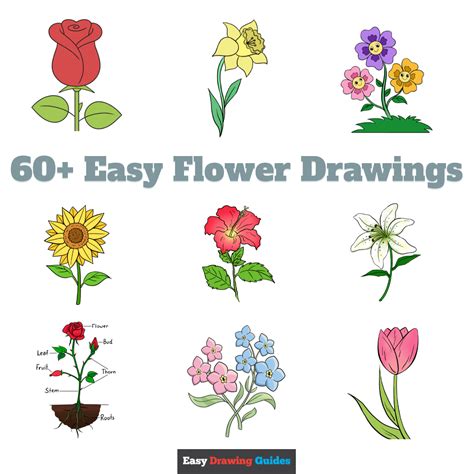 35 Easy Flower Drawing Ideas How To Draw A Flower, 51% OFF