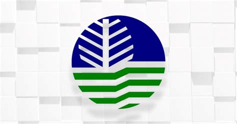 DENR chief chairs Pasig River Rehab Commission under new EO ...