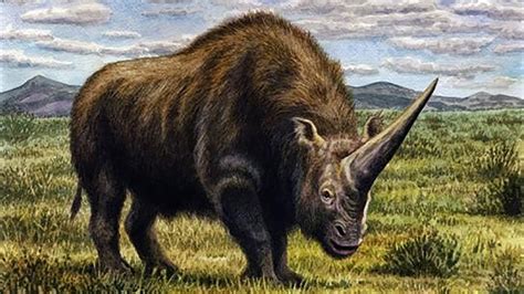 Climate change likely drove North America's megafauna to extinction ...