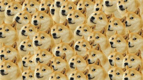 Doge Wallpapers - WallpaperSafari