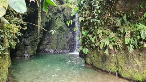 One day in Mindo - the Cloud Forest of Ecuador - AbFabTravels