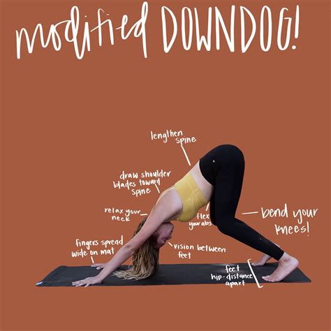 modified down dog | Downward dog, Essential yoga poses, Downward dog ...