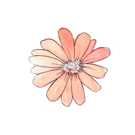 Flower overlay png, Flower overlay png Transparent FREE for download on ...