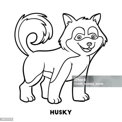 Buku Mewarnai Ras Anjing Husky Ilustrasi Stok - Unduh Gambar Sekarang ...