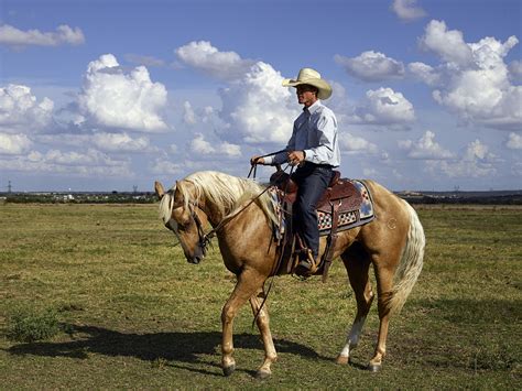 Cowboy,horse,sitting,range,clouds - free image from needpix.com