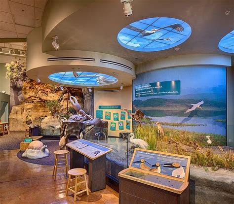 San Diego Natural History Museum Opens 'Coast to Cactus' Exhibit ...