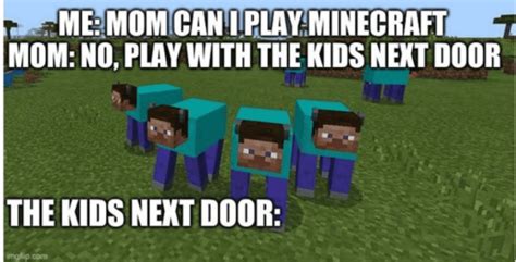 20 Funny Minecraft Memes Of 2022 That Will Crack Anyone Up ...