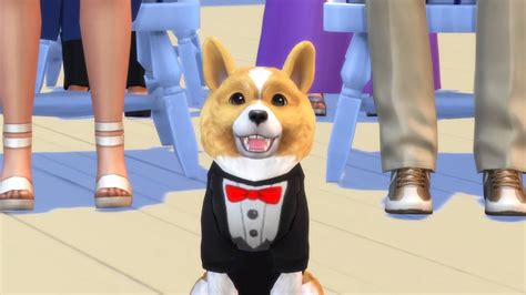 The sims 4 cats and dogs buy mac - lightningpoo